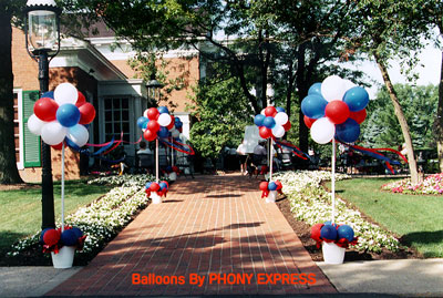 Balloon Topiary Walkway